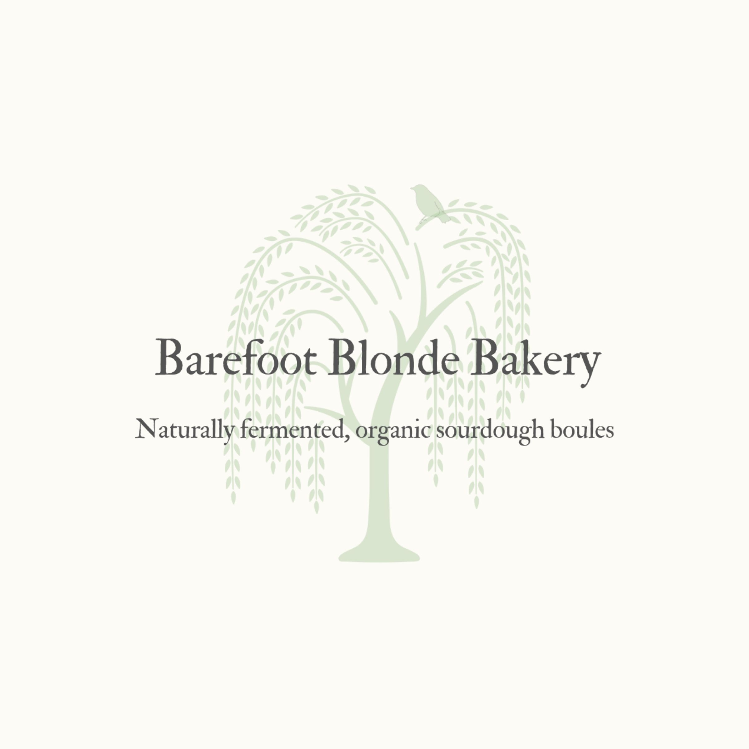 LOGO-COMPRESSED-FILE-2025-12-18T154106.633