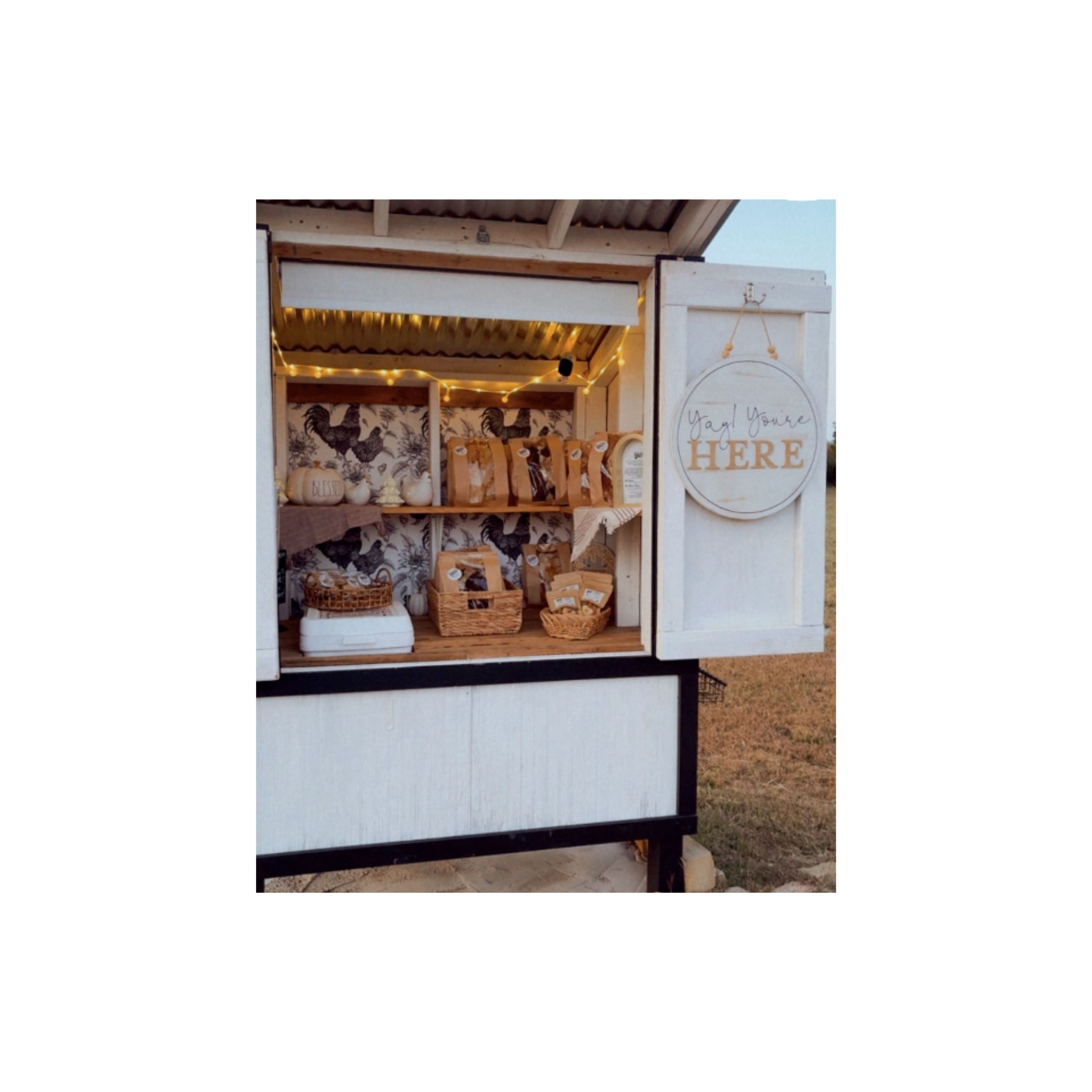 LOGO-COMPRESSED-FILE-2025-12-20T184436.693