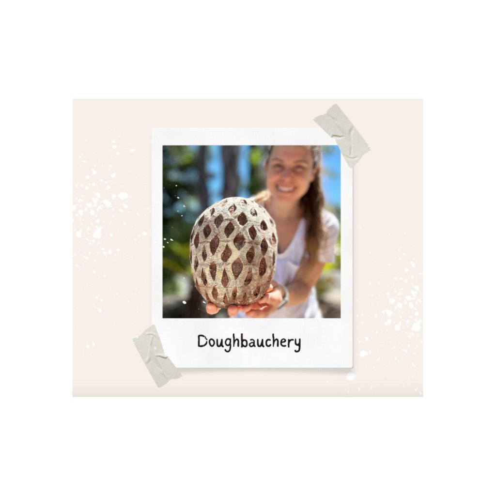 LOGO-COMPRESSED-FILE-2025-12-20T205138.304