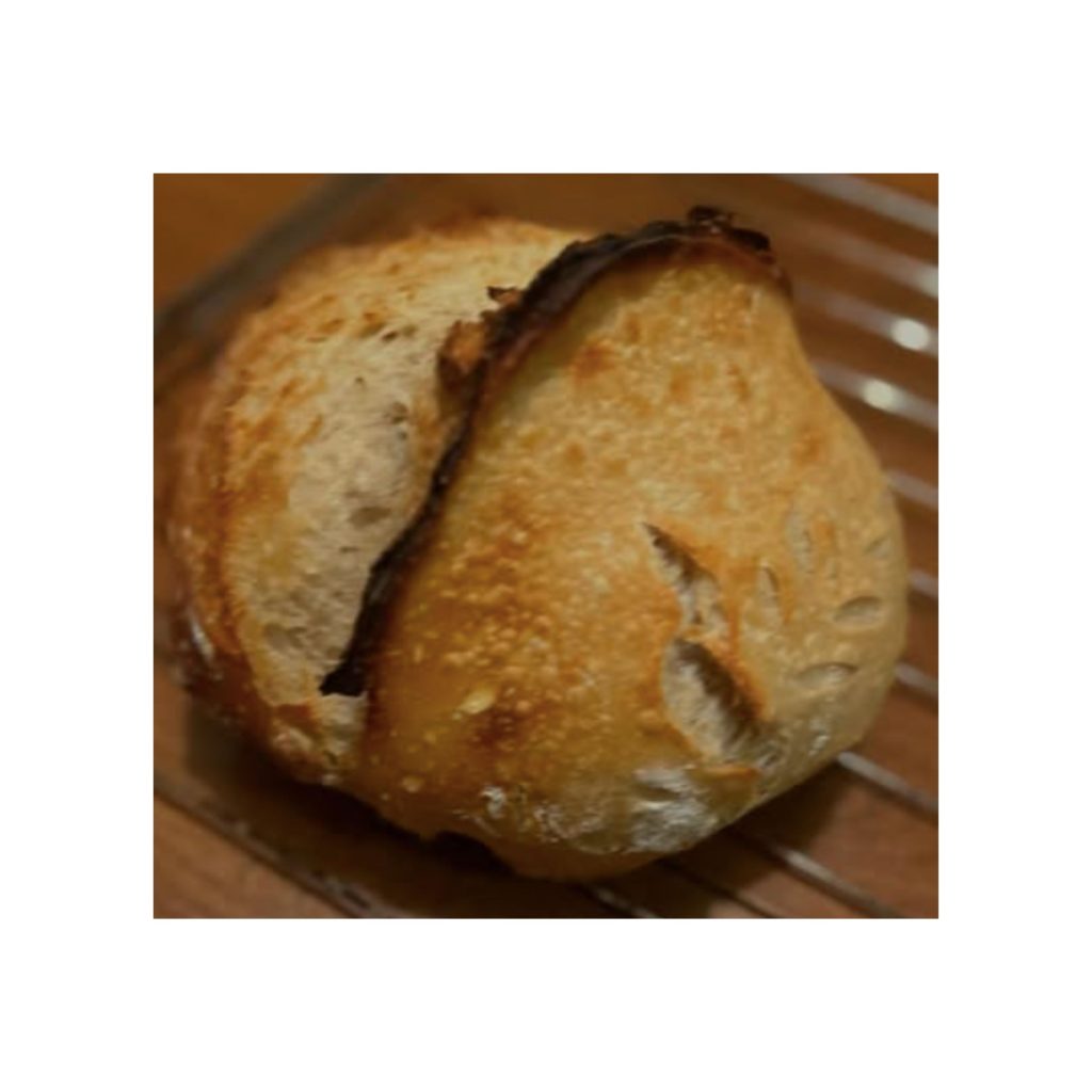 LOGO-COMPRESSED-FILE-60