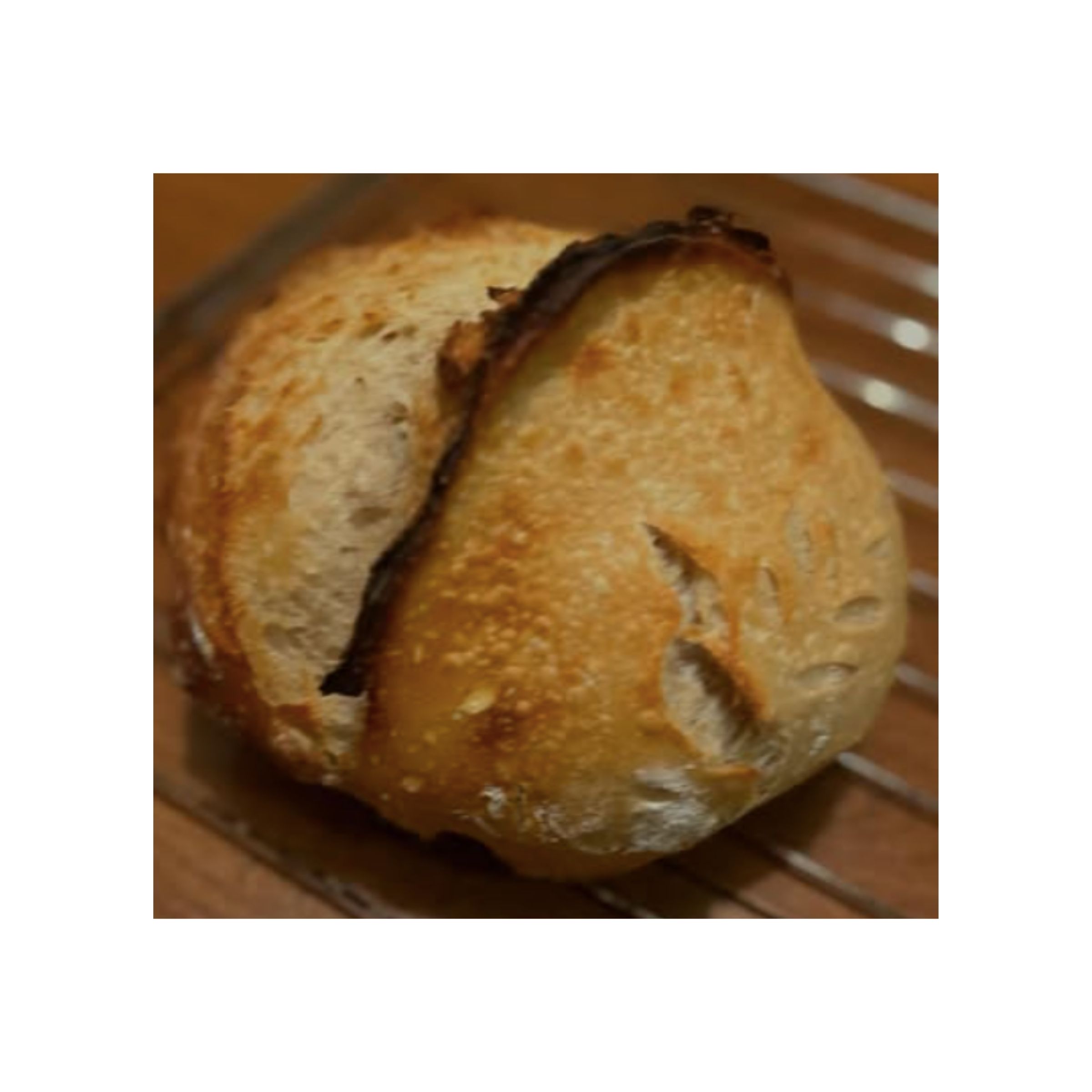 LOGO-COMPRESSED-FILE-60