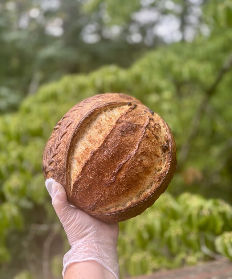 IMG_7928_optimized_200