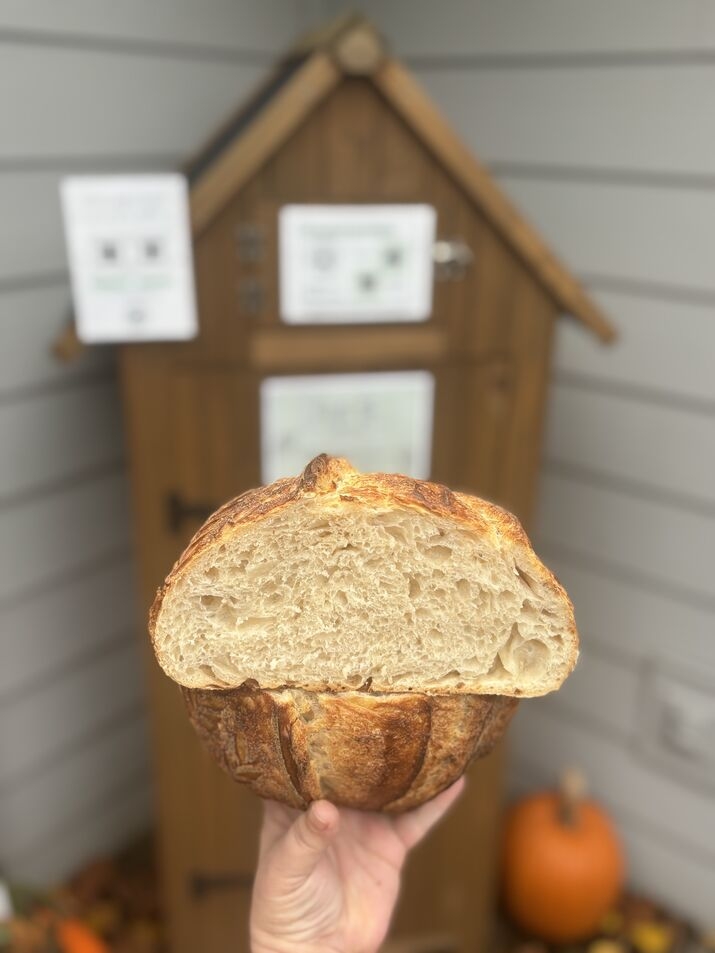 IMG_8038_1_optimized_200