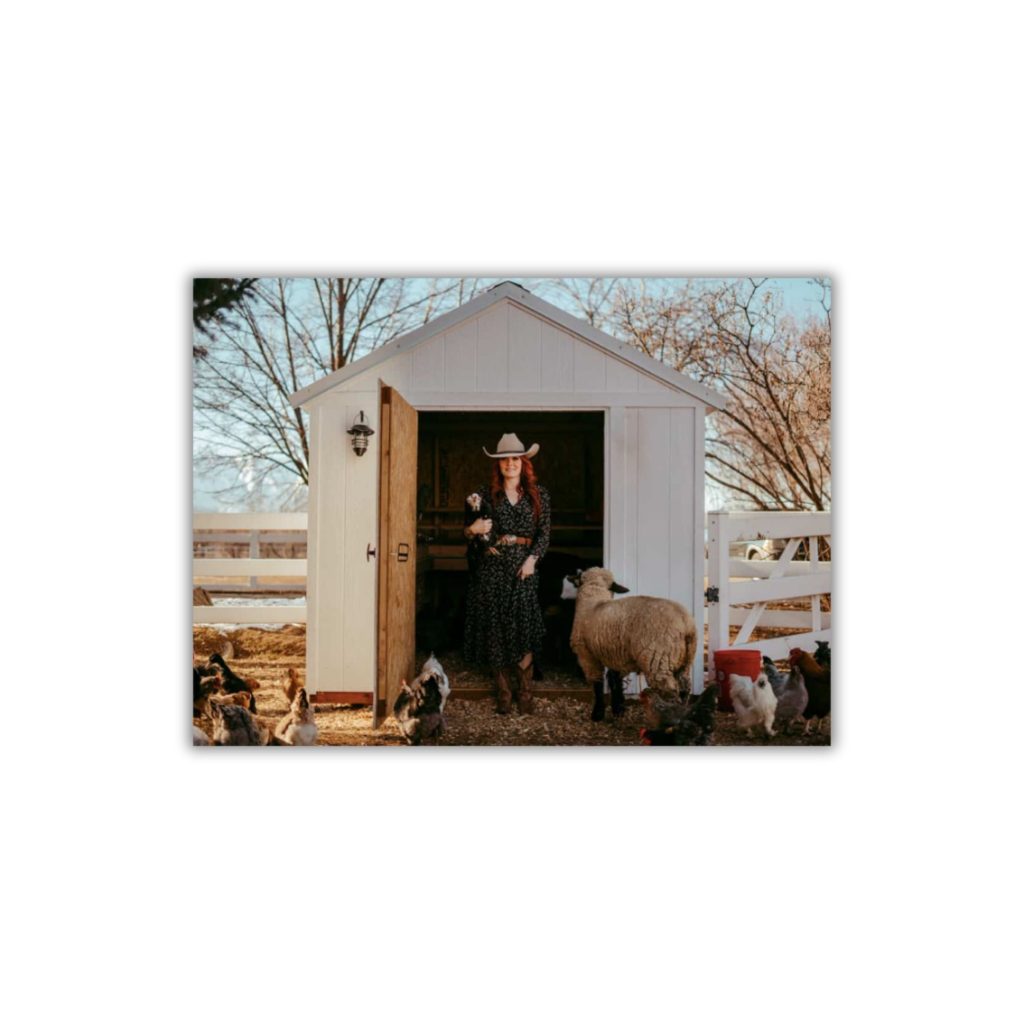 LOGO-COMPRESSED-FILE-62