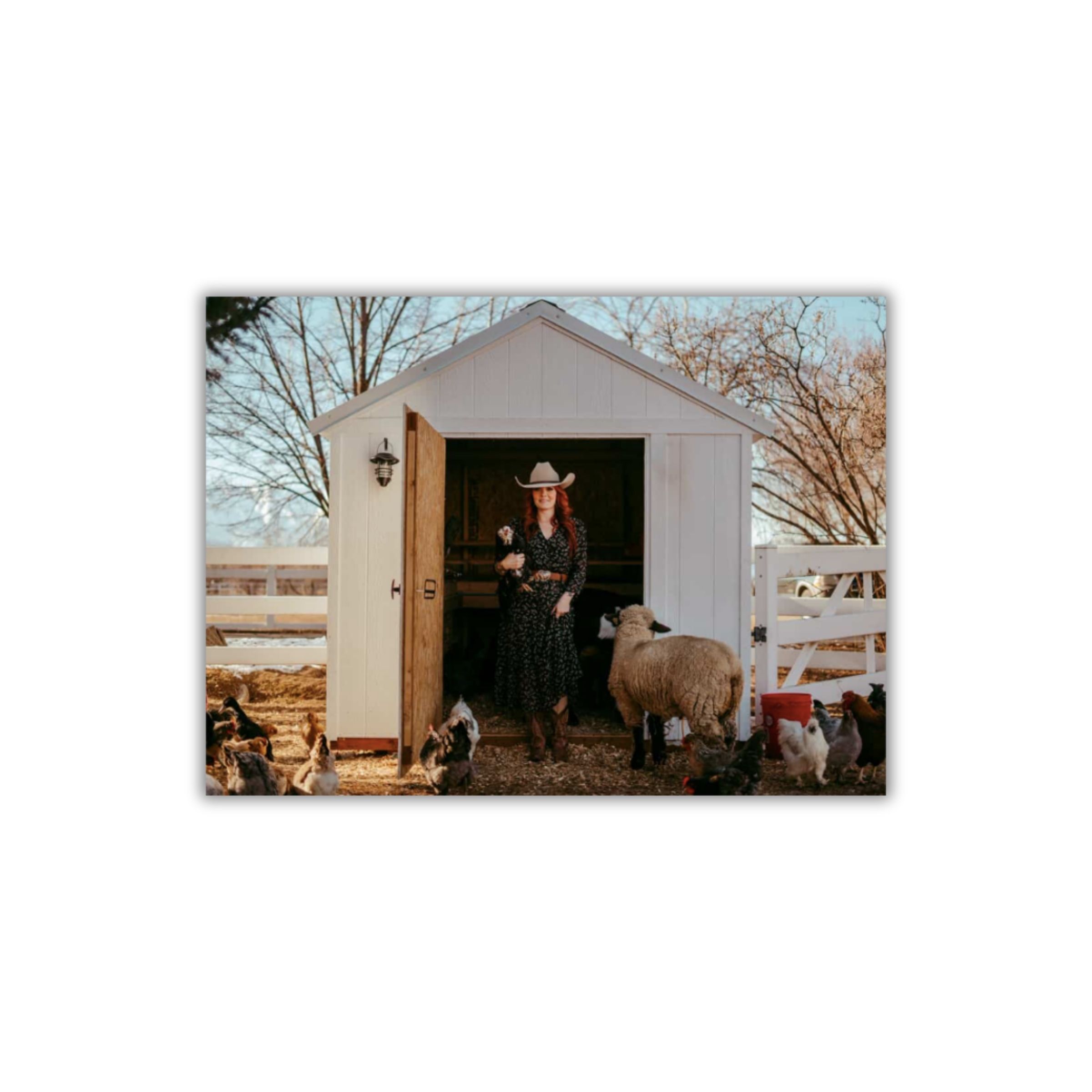 LOGO-COMPRESSED-FILE-62