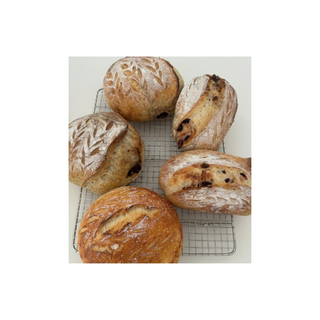 LOGO-COMPRESSED-FILE-6