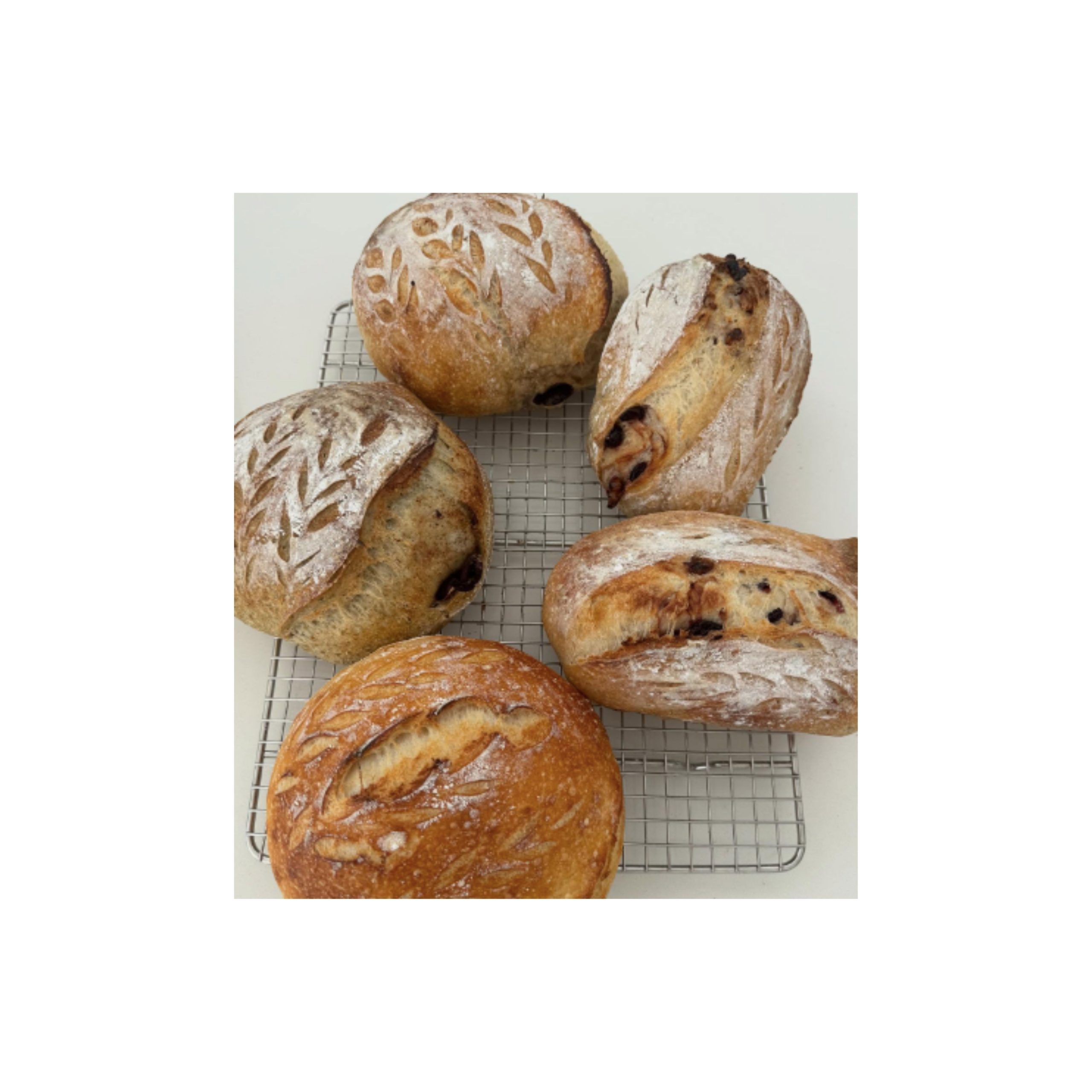 LOGO-COMPRESSED-FILE-6