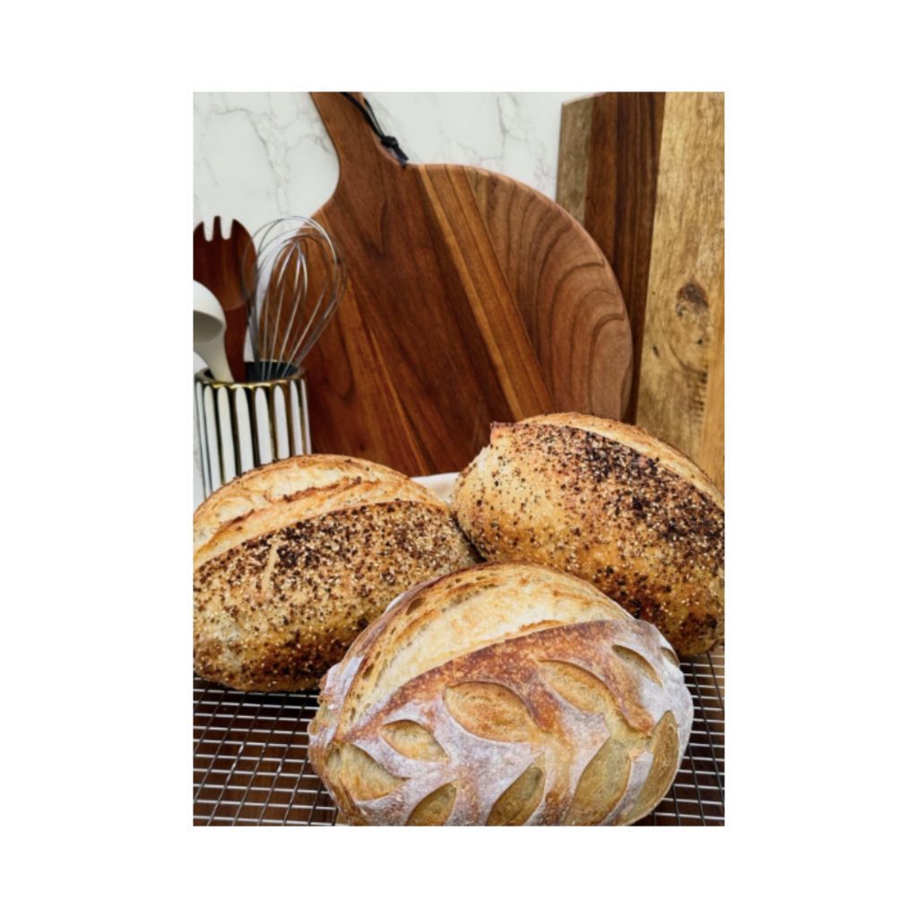 LOGO FOR WEBSITE (11)