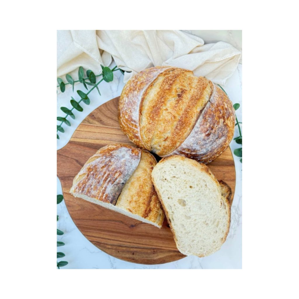 LOGO FOR WEBSITE (8)