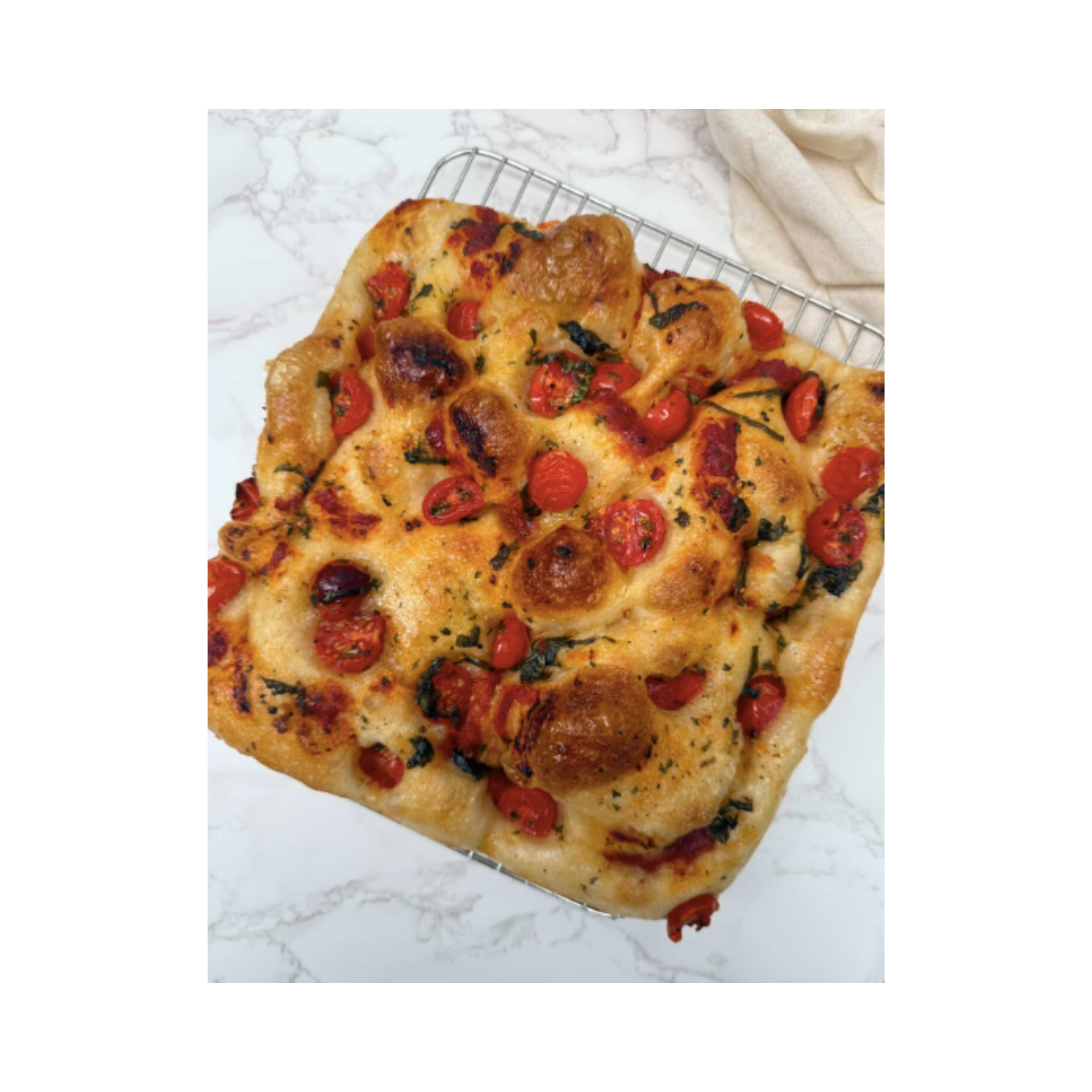 LOGO FOR WEBSITE (9)