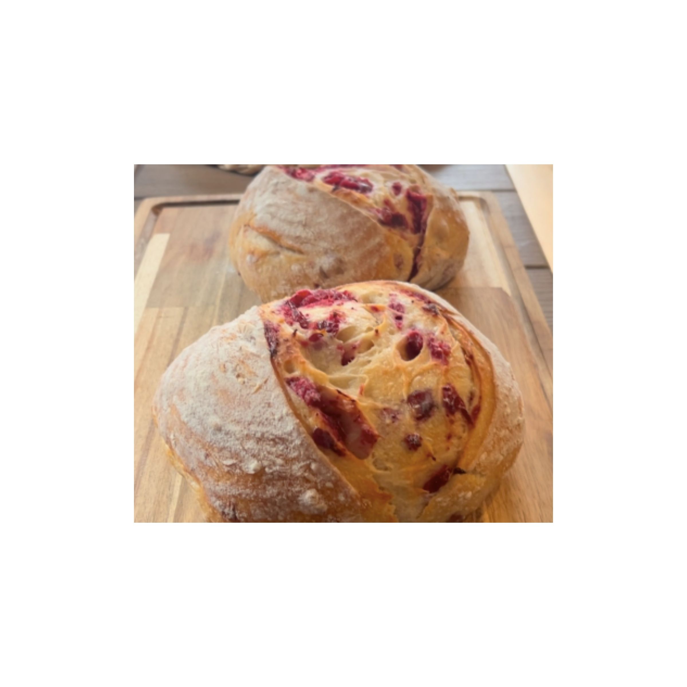 LOGO-COMPRESSED-FILE-2025-12-12T102527.648