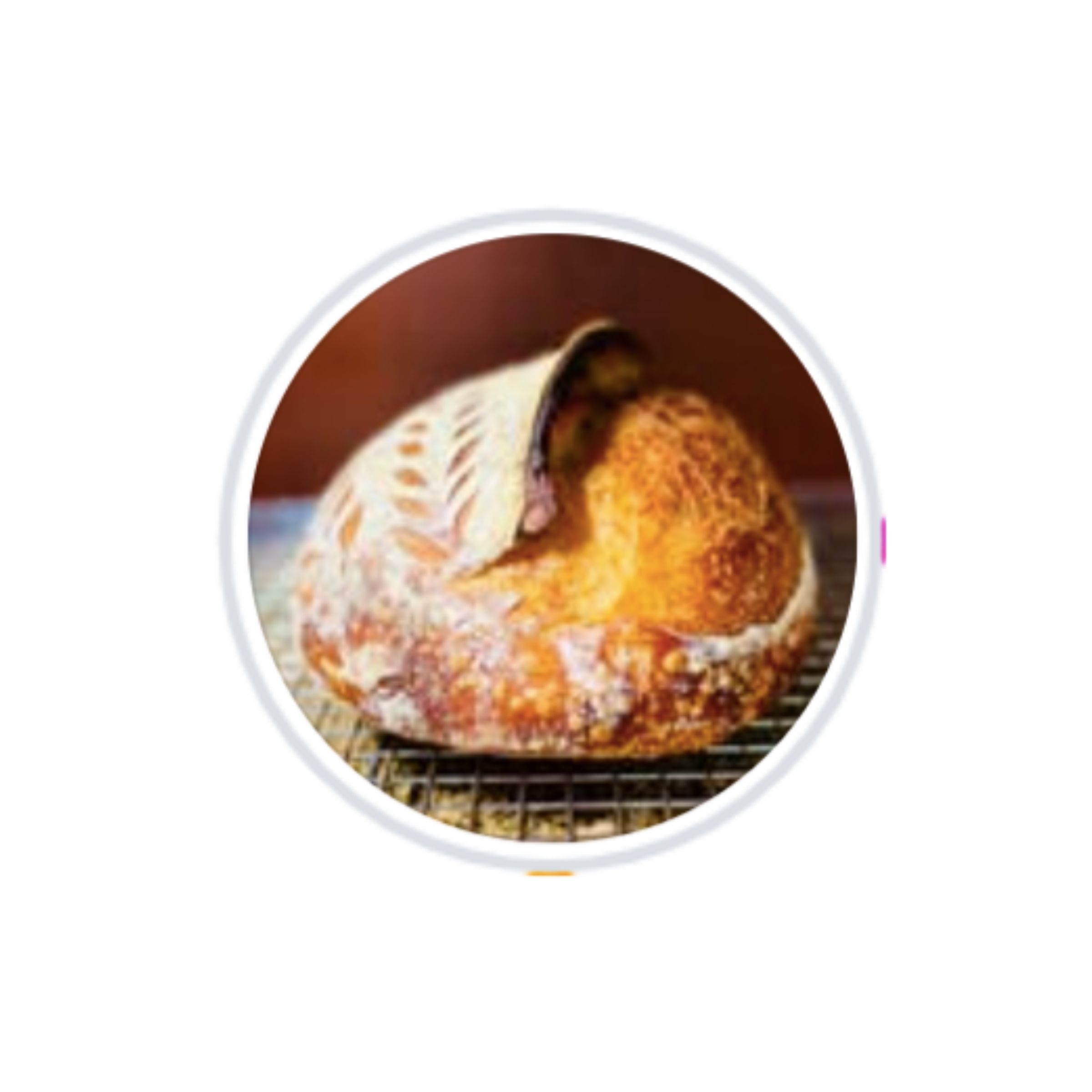 LOGO-COMPRESSED-FILE-2025-12-16T021705.547