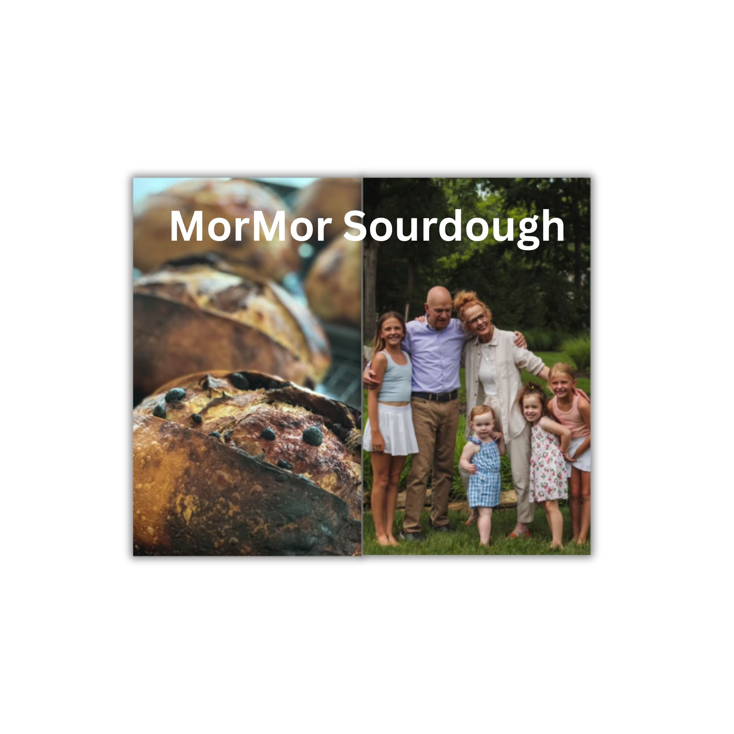 LOGO-COMPRESSED-FILE-2025-12-20T225311.967