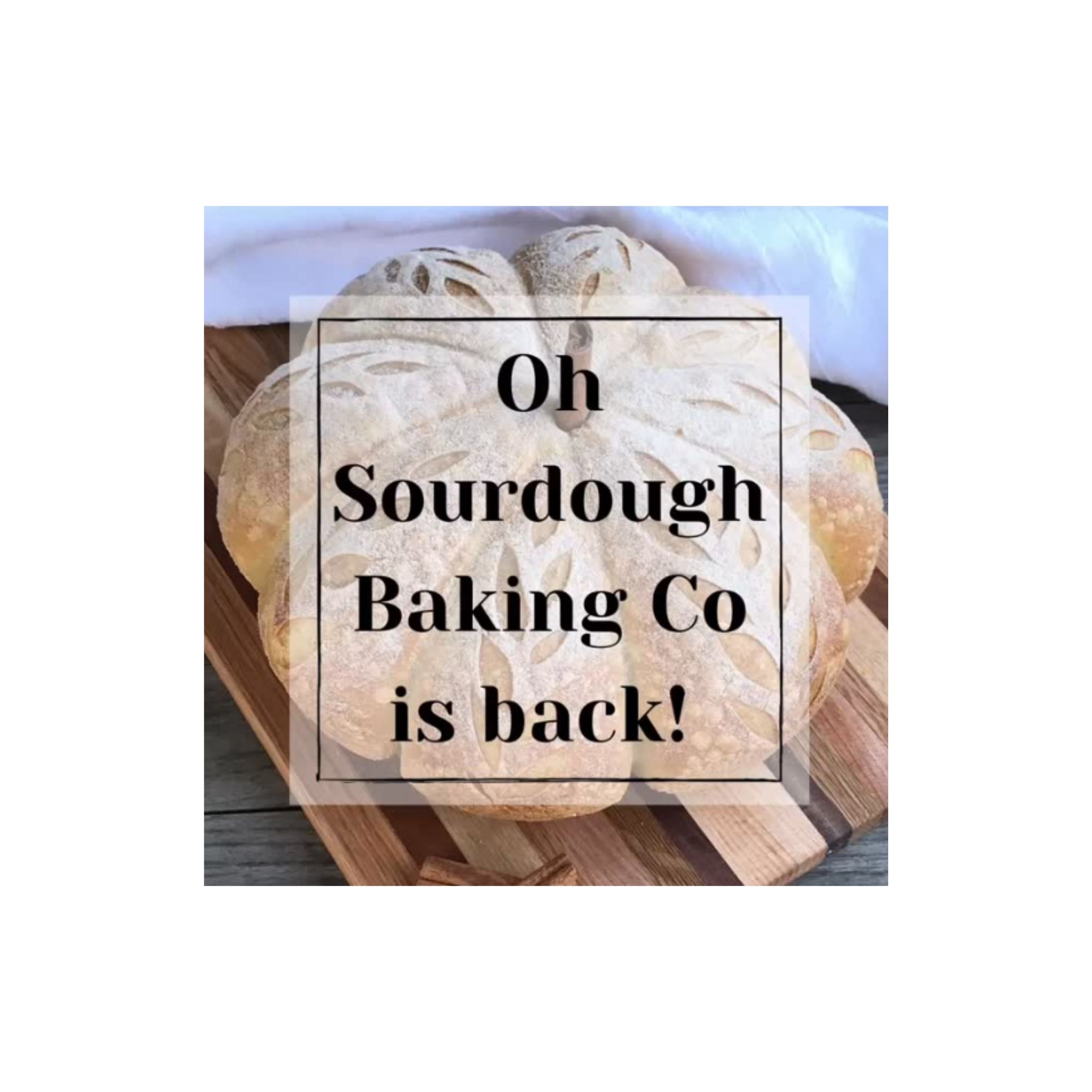 LOGO-COMPRESSED-FILE-2025-12-22T175343.855