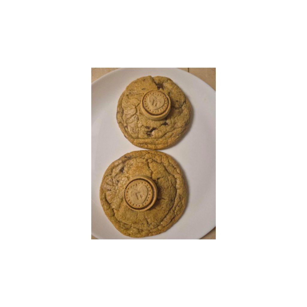 LOGO COMPRESSED FILE (23)