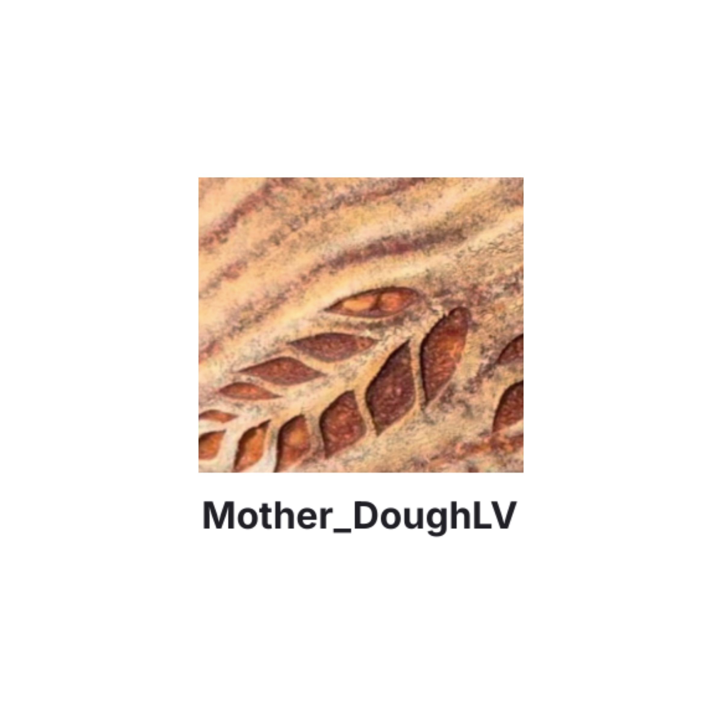 LOGO-COMPRESSED-FILE-97