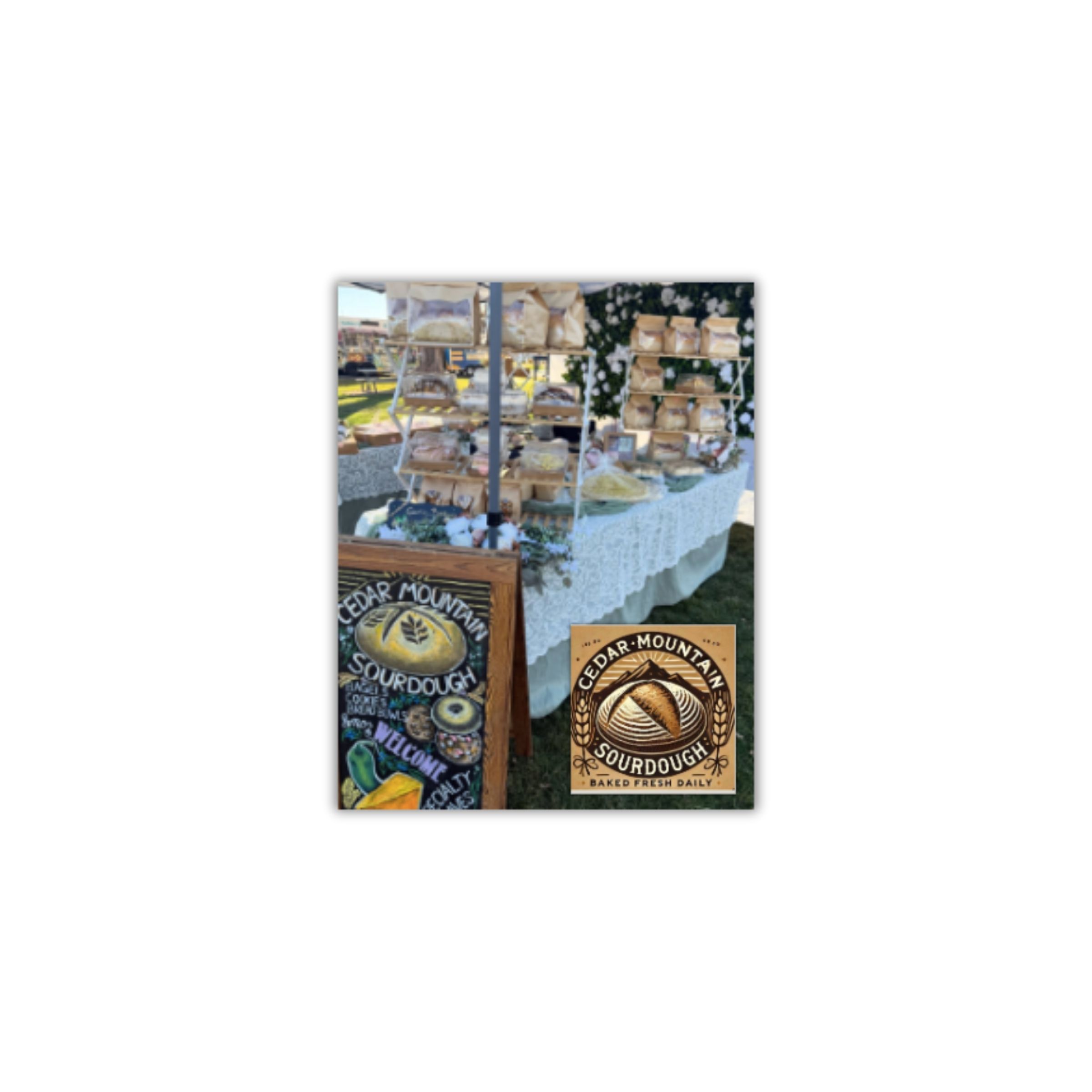 LOGO-COMPRESSED-FILE-2026-02-04T102236.821