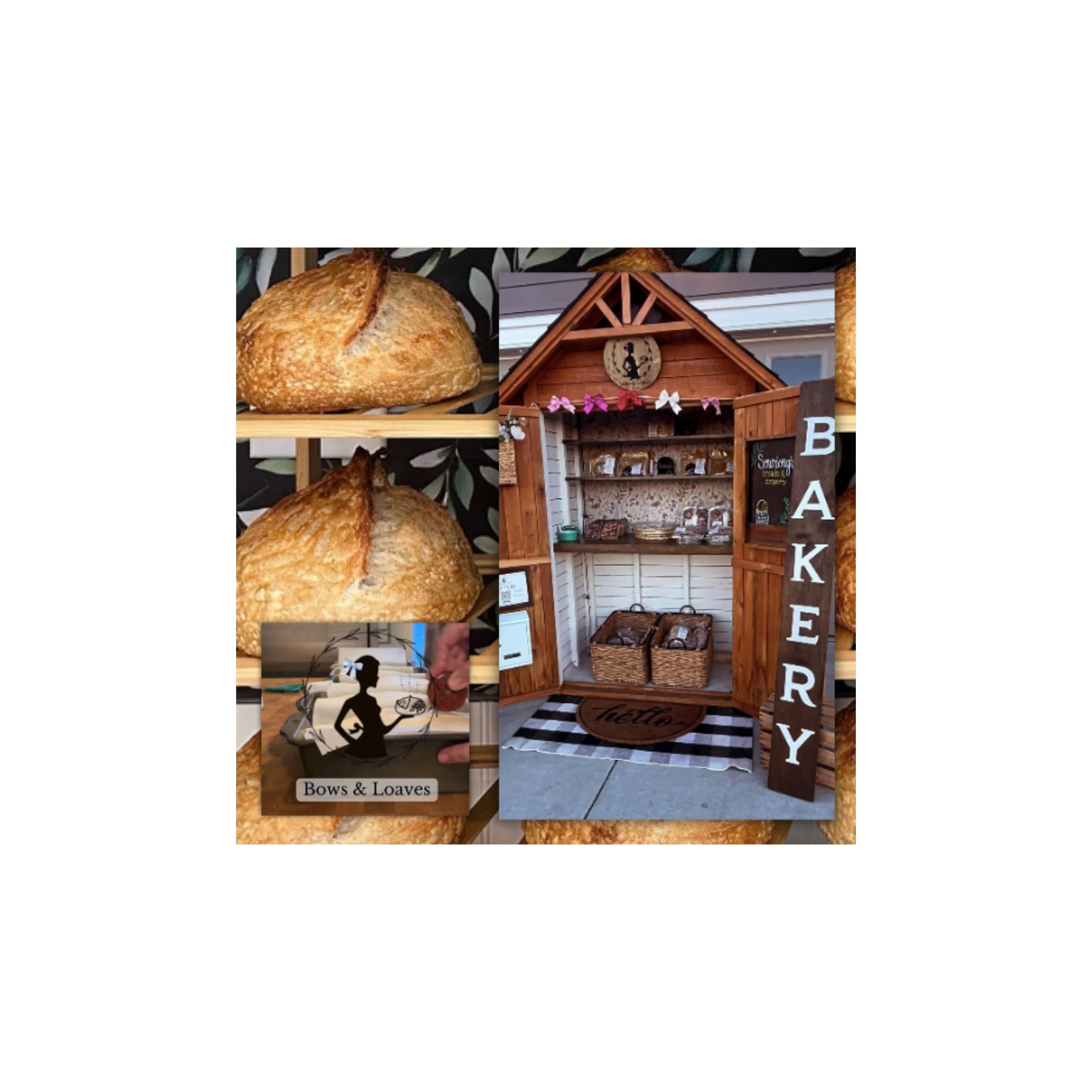 LOGO-COMPRESSED-FILE-2026-02-04T143949.782