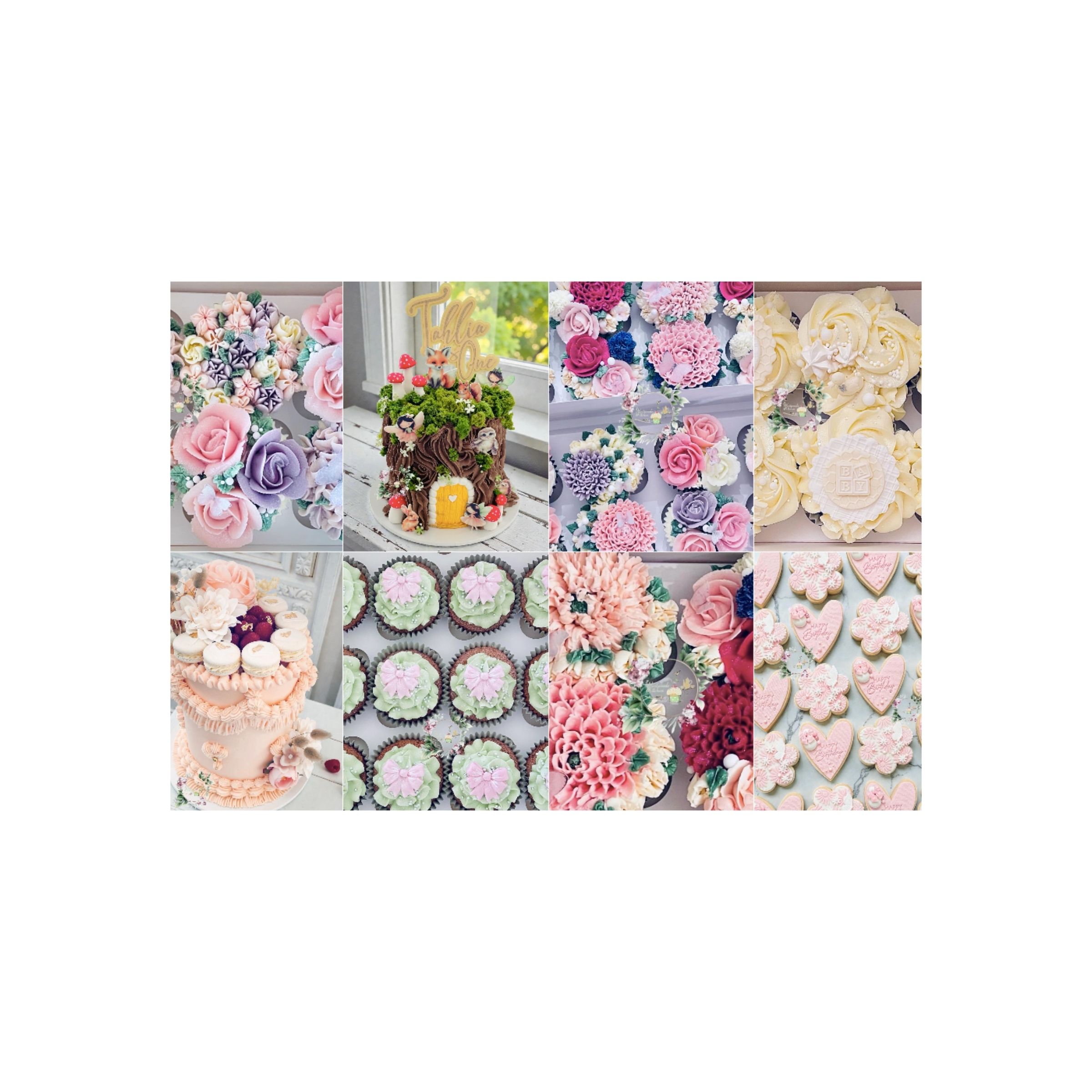 LOGO-COMPRESSED-FILE-2026-02-20T194122.644