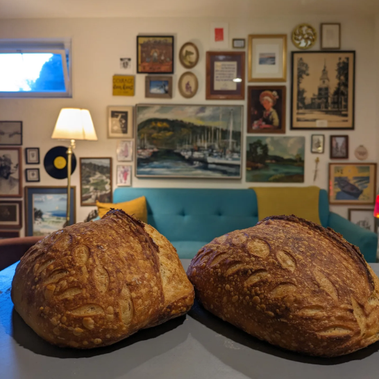 Screenshot-2026-02-20-9.00.10-AM