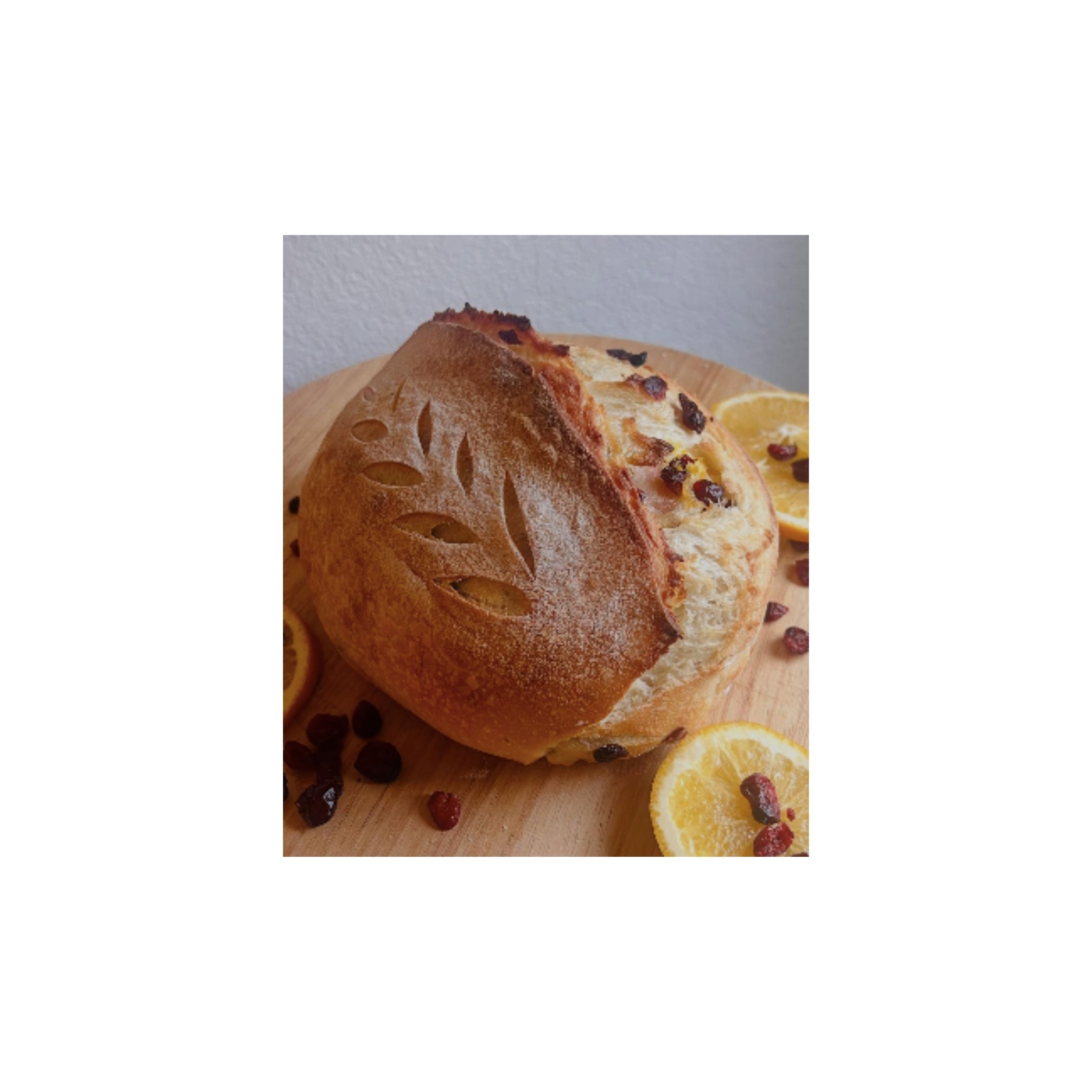 LOGO-COMPRESSED-FILE-2026-02-28T222837.421