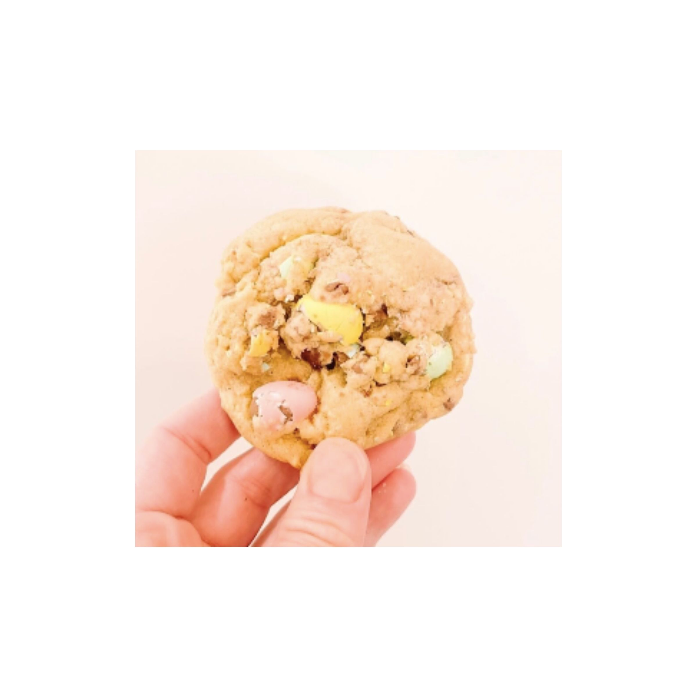 LOGO-COMPRESSED-FILE-2026-03-01T115429.458-1