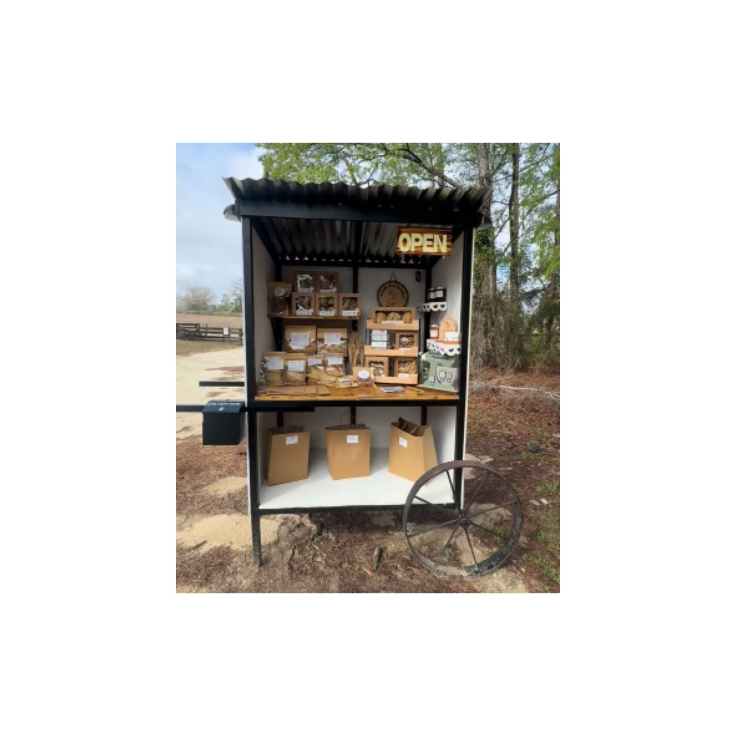 LOGO-COMPRESSED-FILE-2026-03-05T211307.931