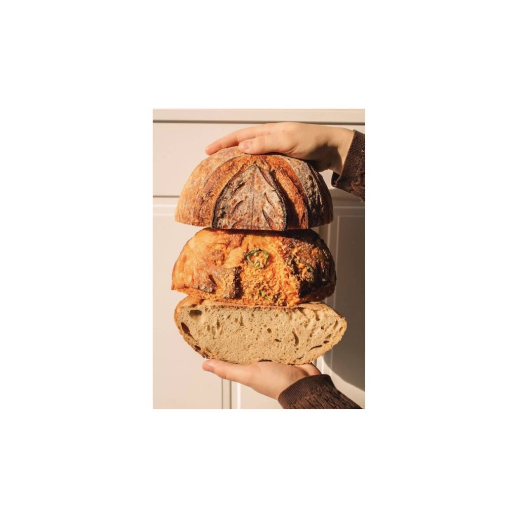 LOGO COMPRESSED FILE – 2026-03-11T131328.488