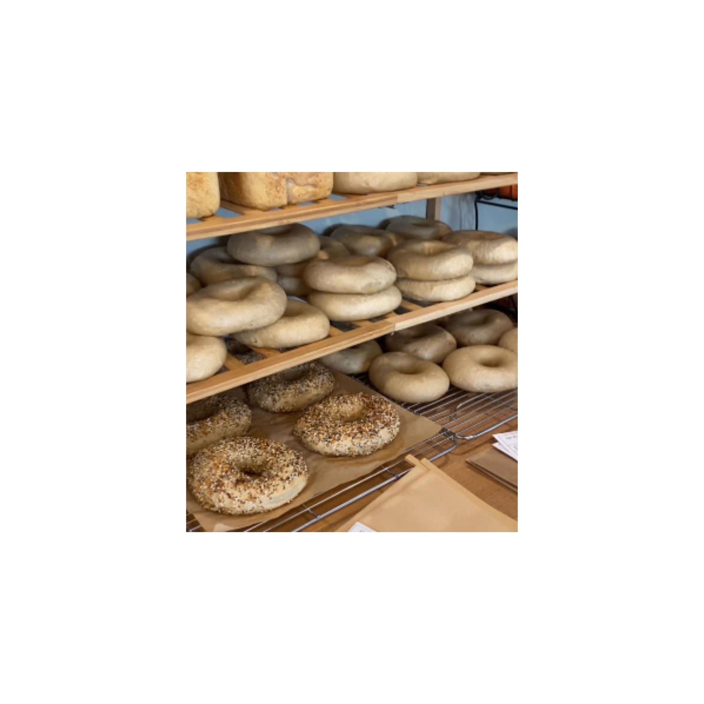 LOGO COMPRESSED FILE – 2026-03-16T133309.146