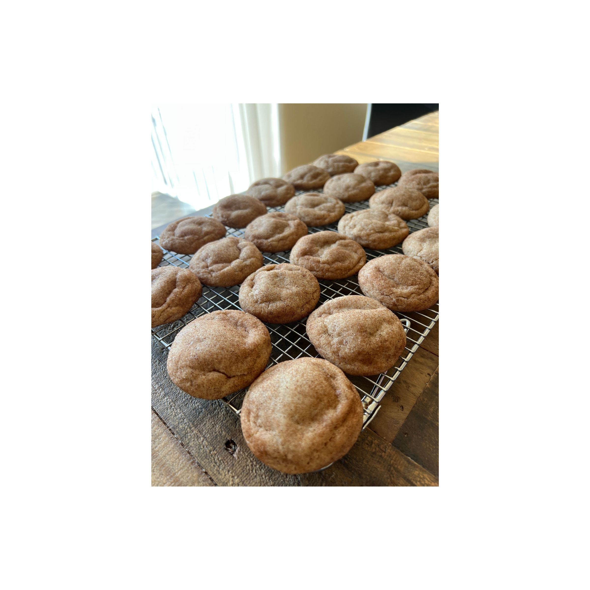 LOGO COMPRESSED FILE – 2026-03-16T141855.242