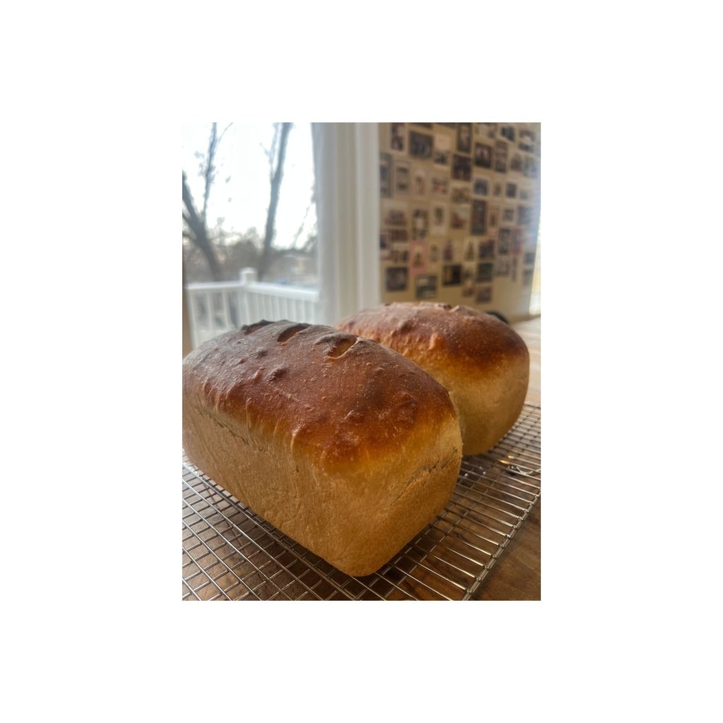 LOGO COMPRESSED FILE – 2026-03-16T141950.258