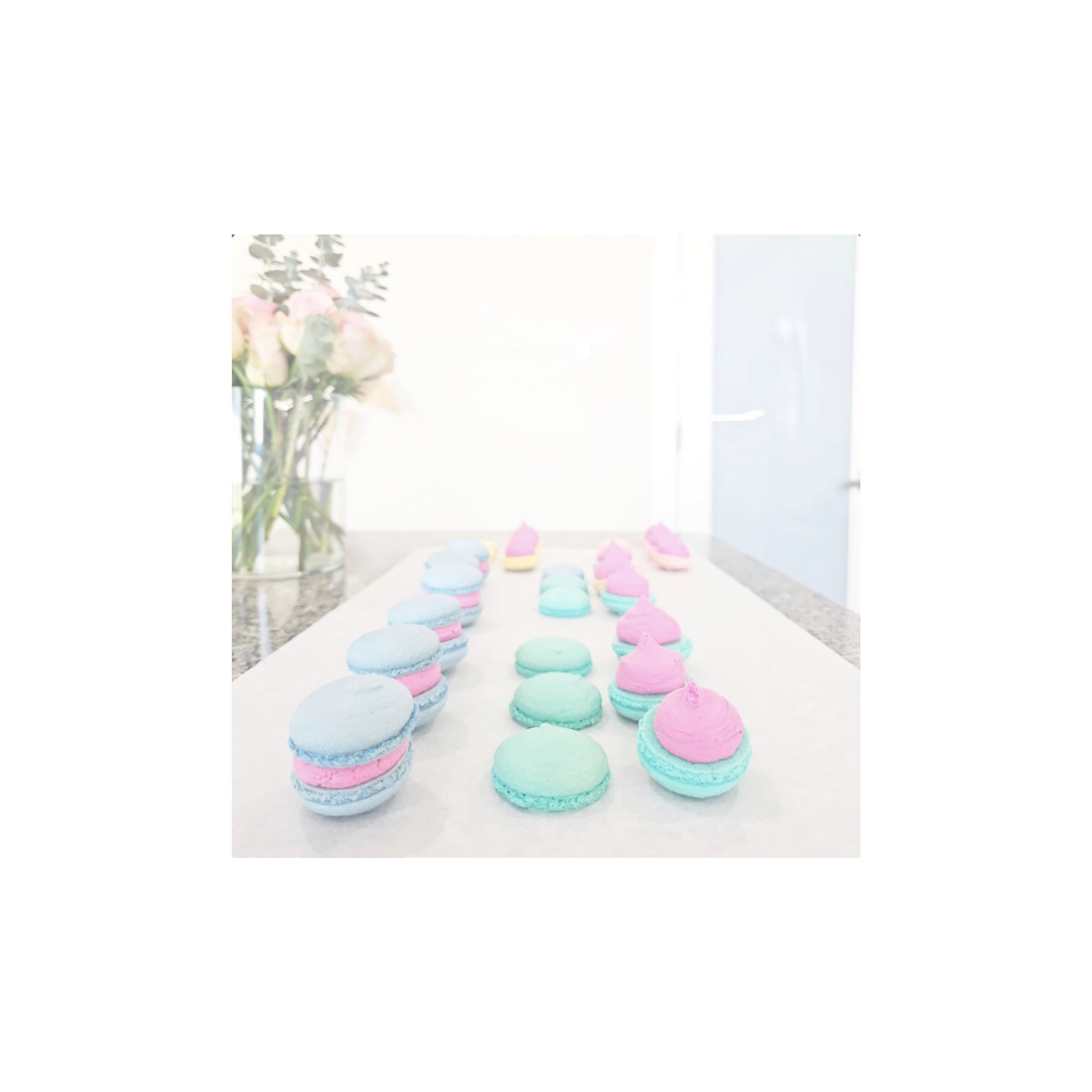 LOGO COMPRESSED FILE – 2026-03-23T190127.496