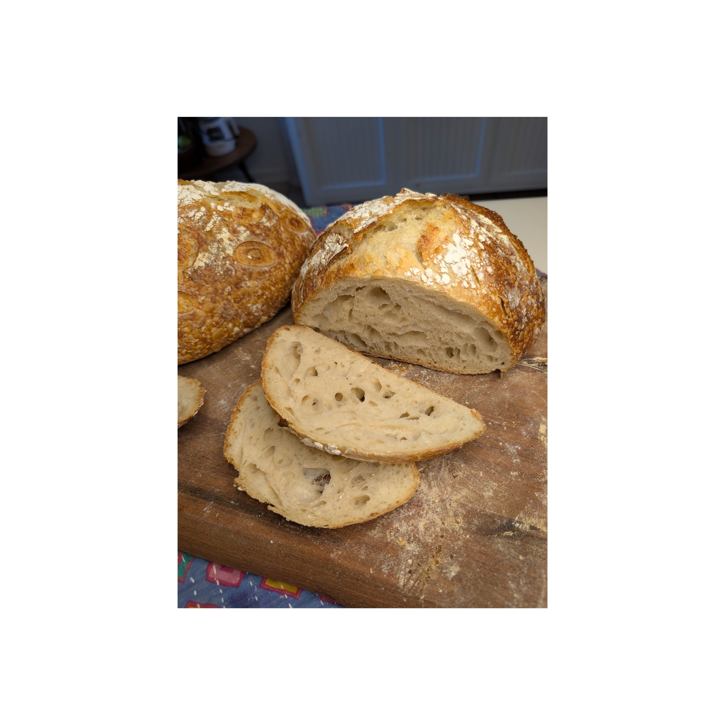 LOGO COMPRESSED FILE – 2026-04-04T194416.899