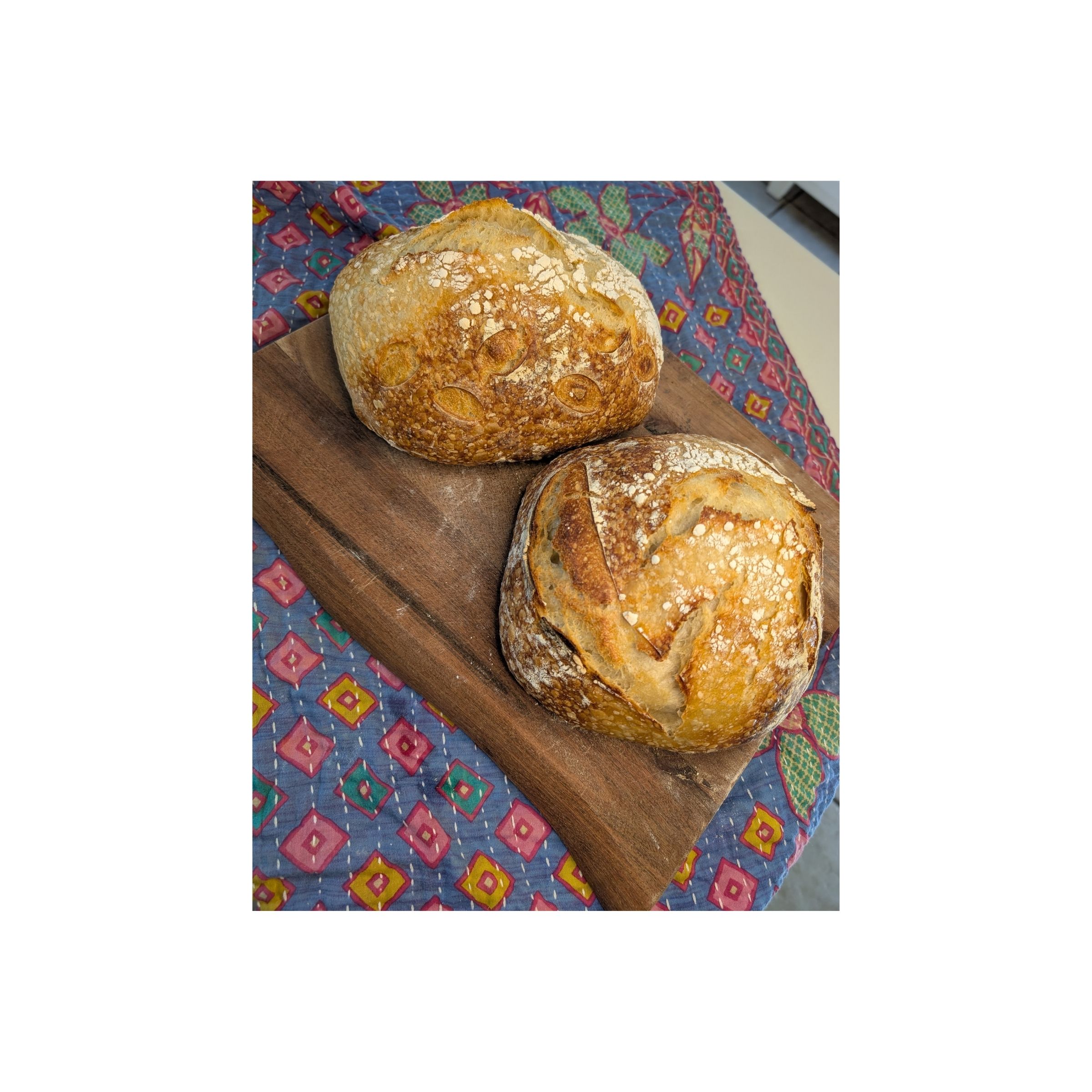 LOGO COMPRESSED FILE – 2026-04-04T194602.021