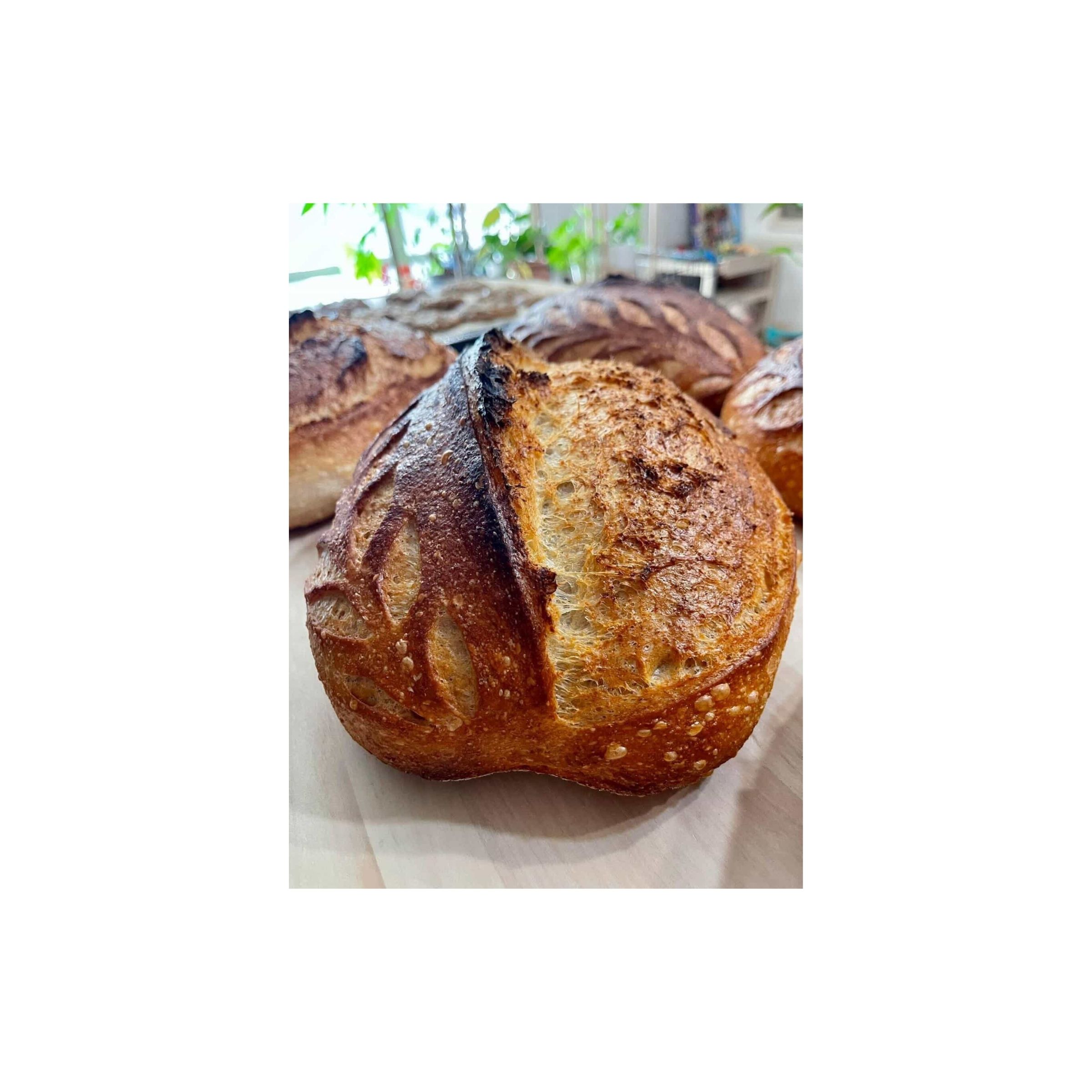 LOGO COMPRESSED FILE (2)