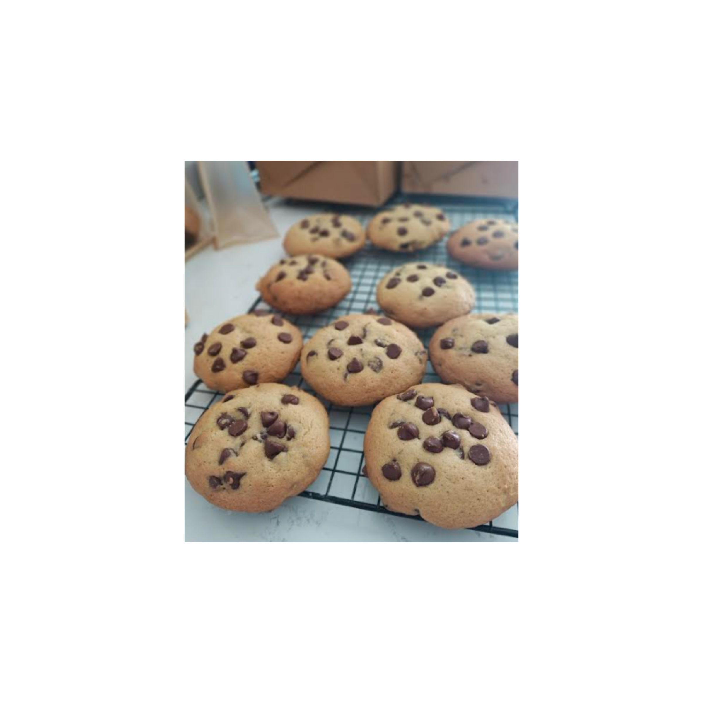 LOGO COMPRESSED FILE – 2026-04-16T161750.031