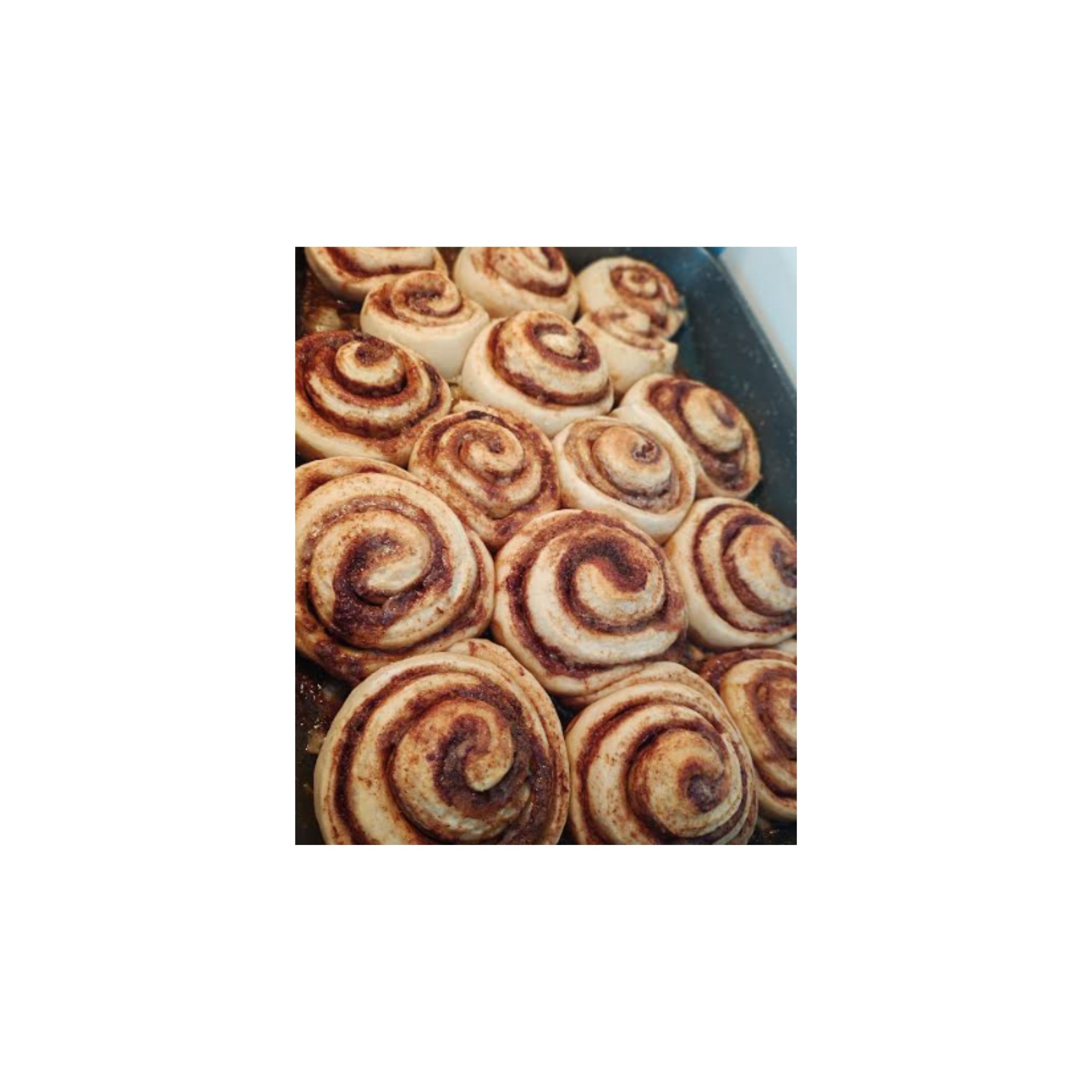 LOGO COMPRESSED FILE – 2026-04-16T161802.738