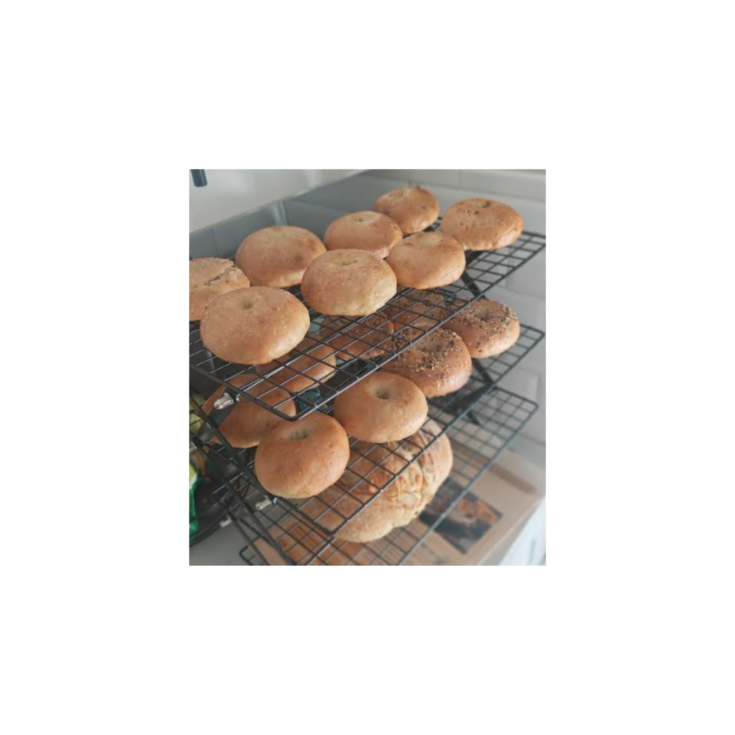 LOGO COMPRESSED FILE – 2026-04-16T161817.828