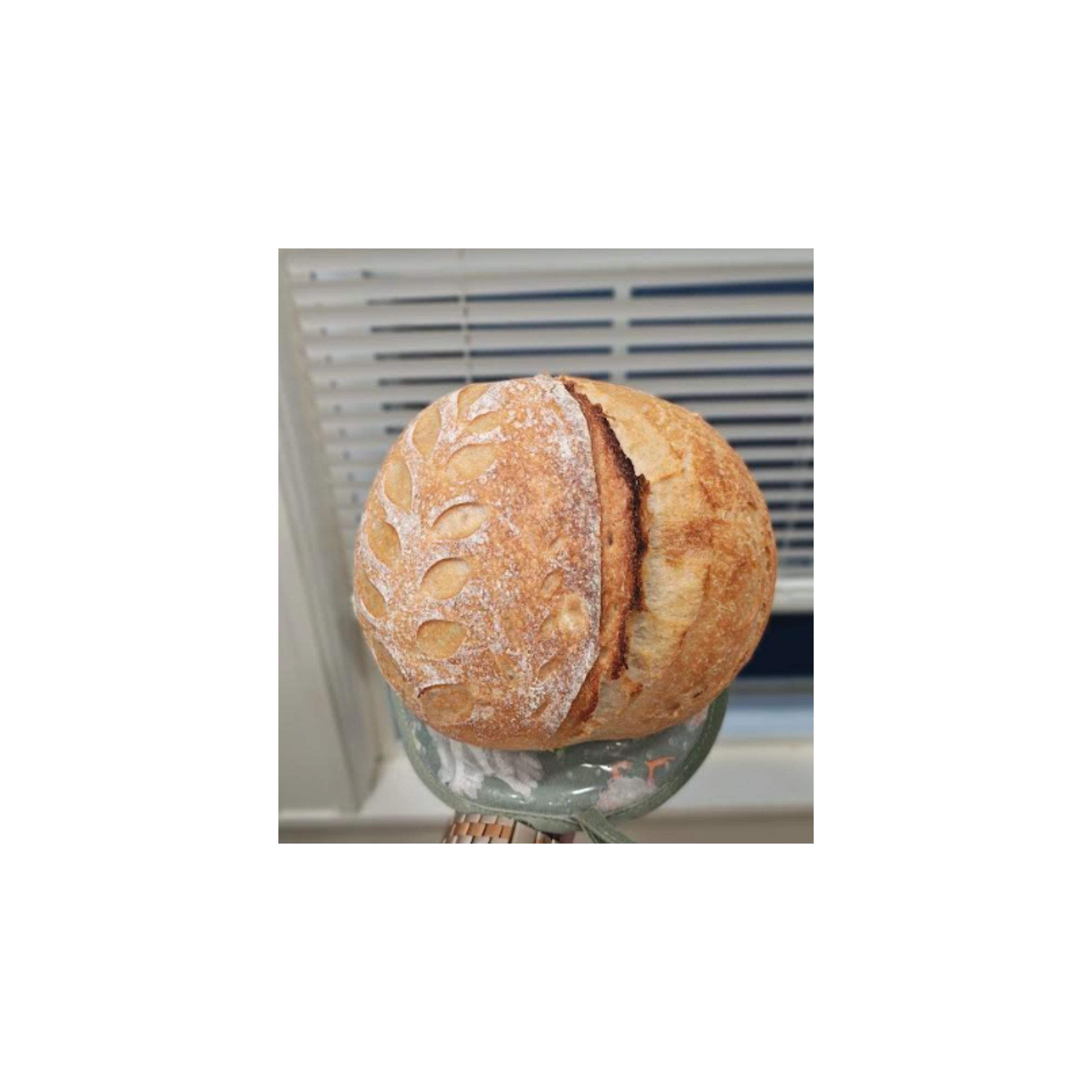 LOGO COMPRESSED FILE – 2026-04-16T161846.710