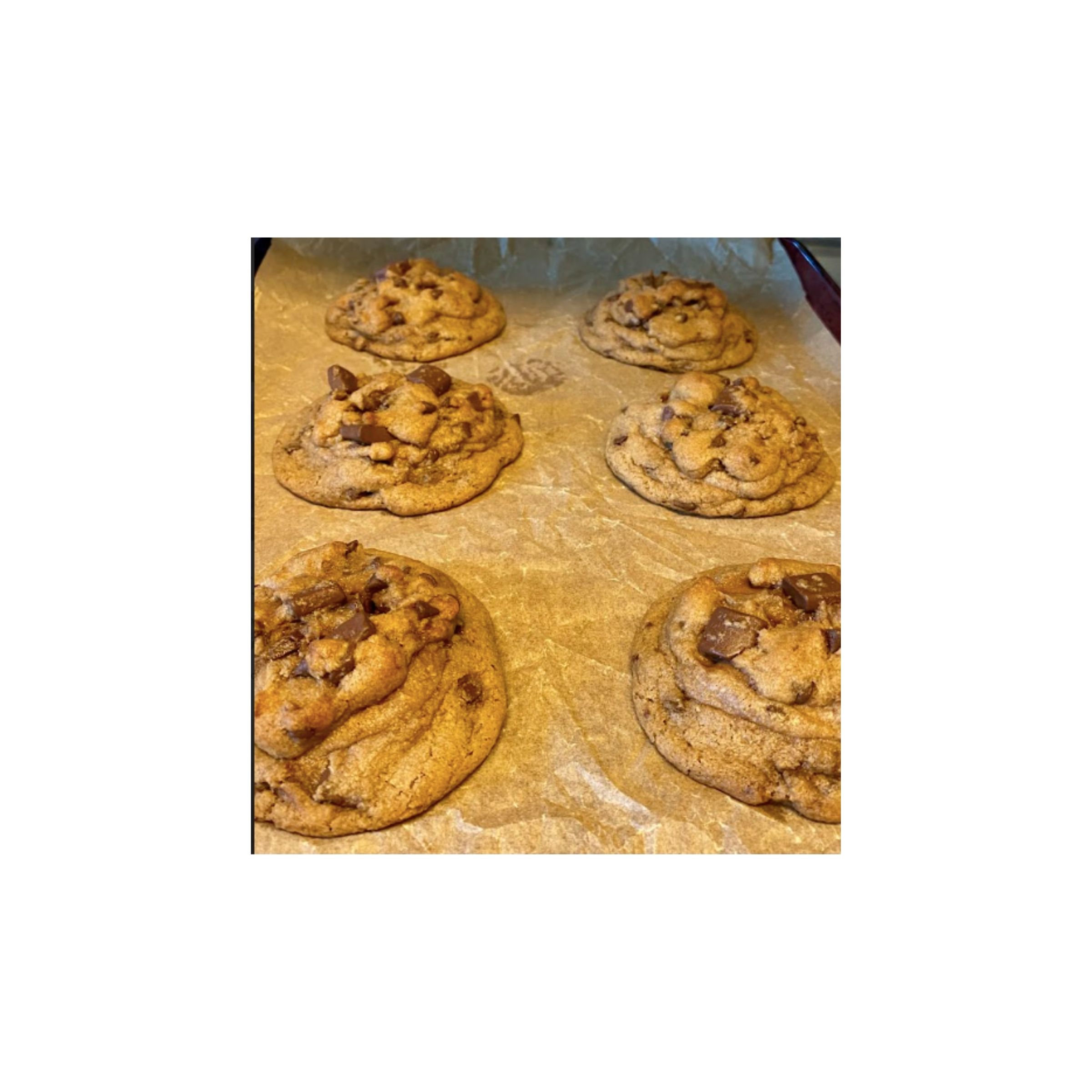 LOGO COMPRESSED FILE – 2026-04-16T161910.716