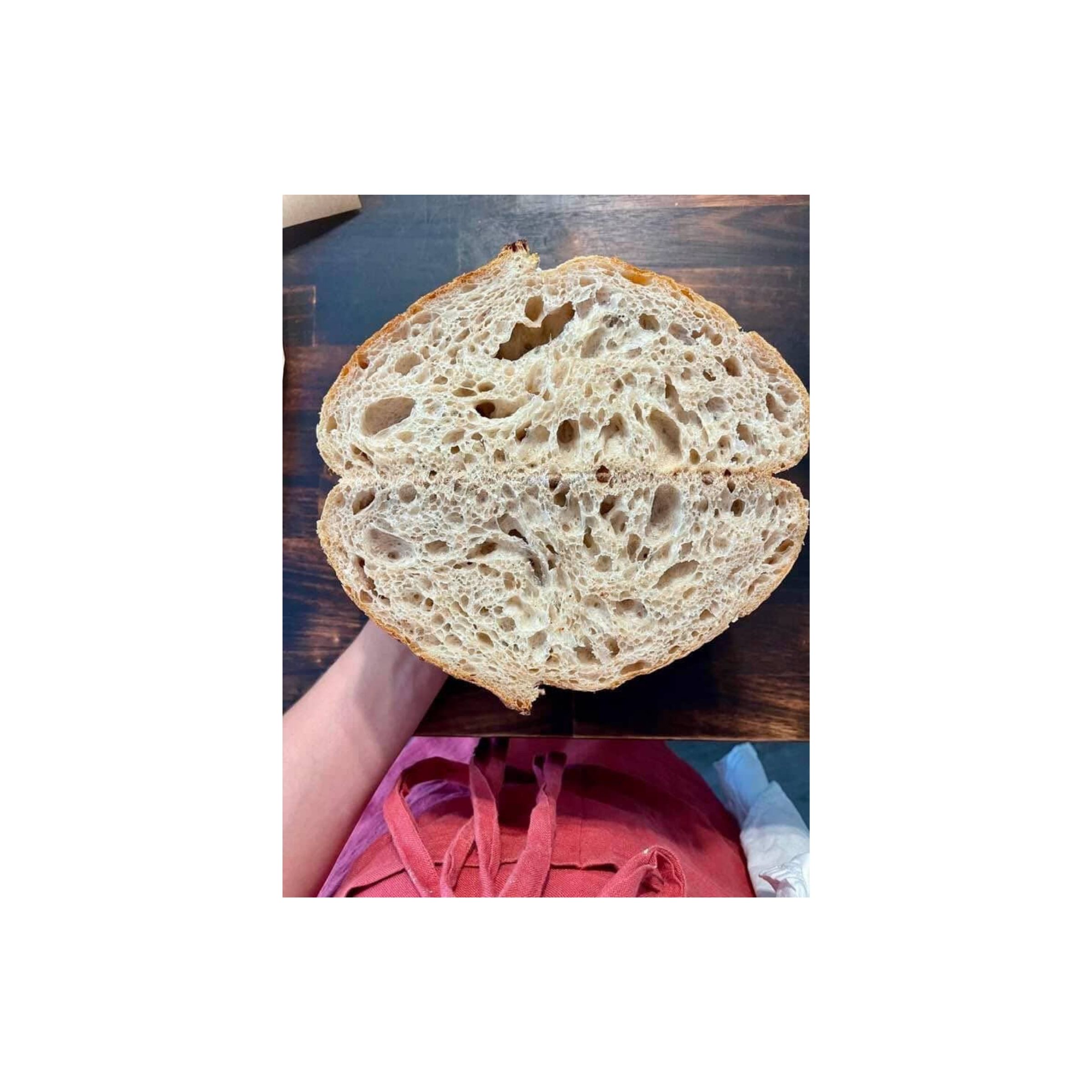 LOGO COMPRESSED FILE (3)