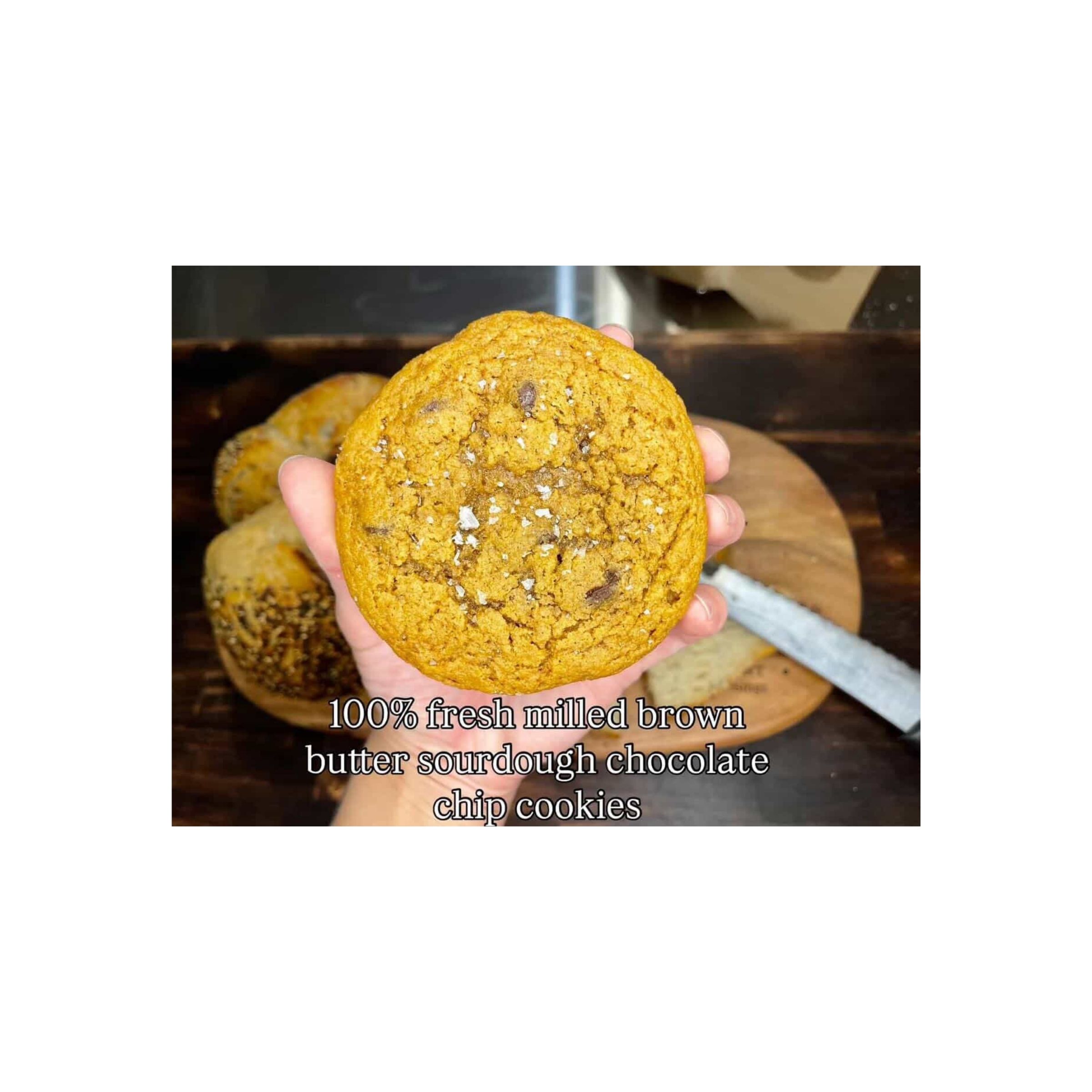 LOGO COMPRESSED FILE (5)